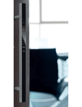 Electronic Pull Handles